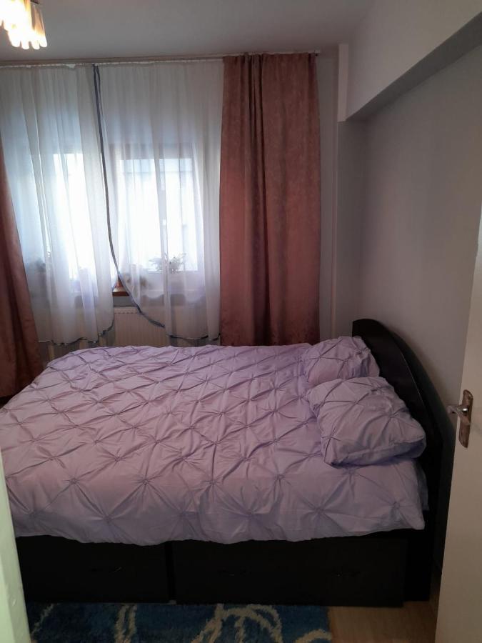 Apartament Straja - Lupeni  Exterior photo